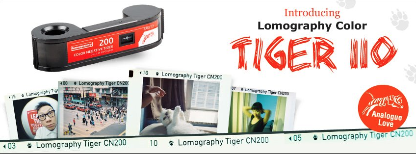 lomography-color-tiger-110