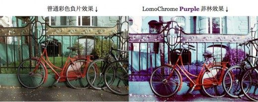 lomochrome-purple-400-02
