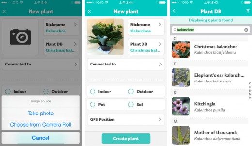 parrot-flower-power-app-newplant