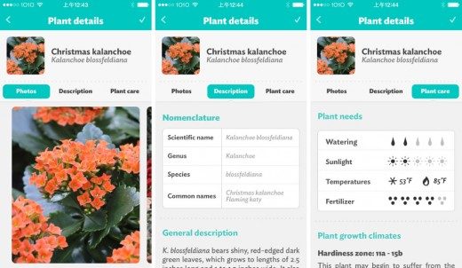 parrot-flower-power-app-plant-details